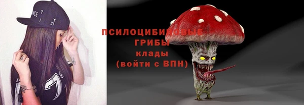 apvp Зеленокумск