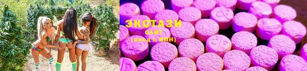 apvp Заводоуковск