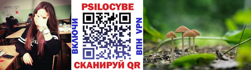 Псилоцибиновые грибы Magic Shrooms Купить Гусиноозёрск